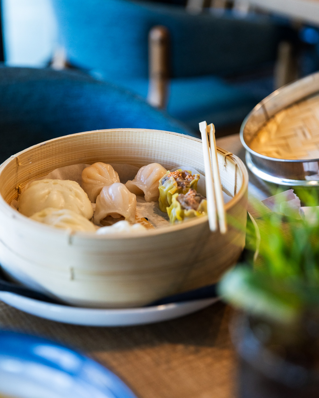 Dim_Sum_5_!!